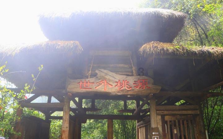 上学迟到