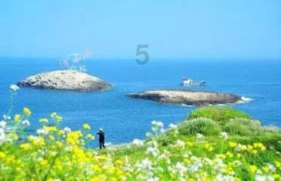 迷失在荒野