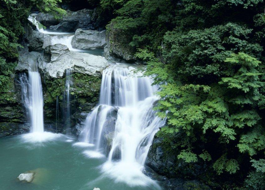 植物大战僵尸3